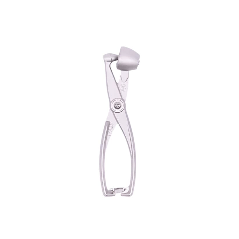 Cherry Pitter - Strumento di rimozione per noccioli di olive, portatile per rimuovere il nucleo di frutta Cherry Pitter - Strumento di rimozione per noccioli di olive, portatile per rimuovere il nucleo di frutta