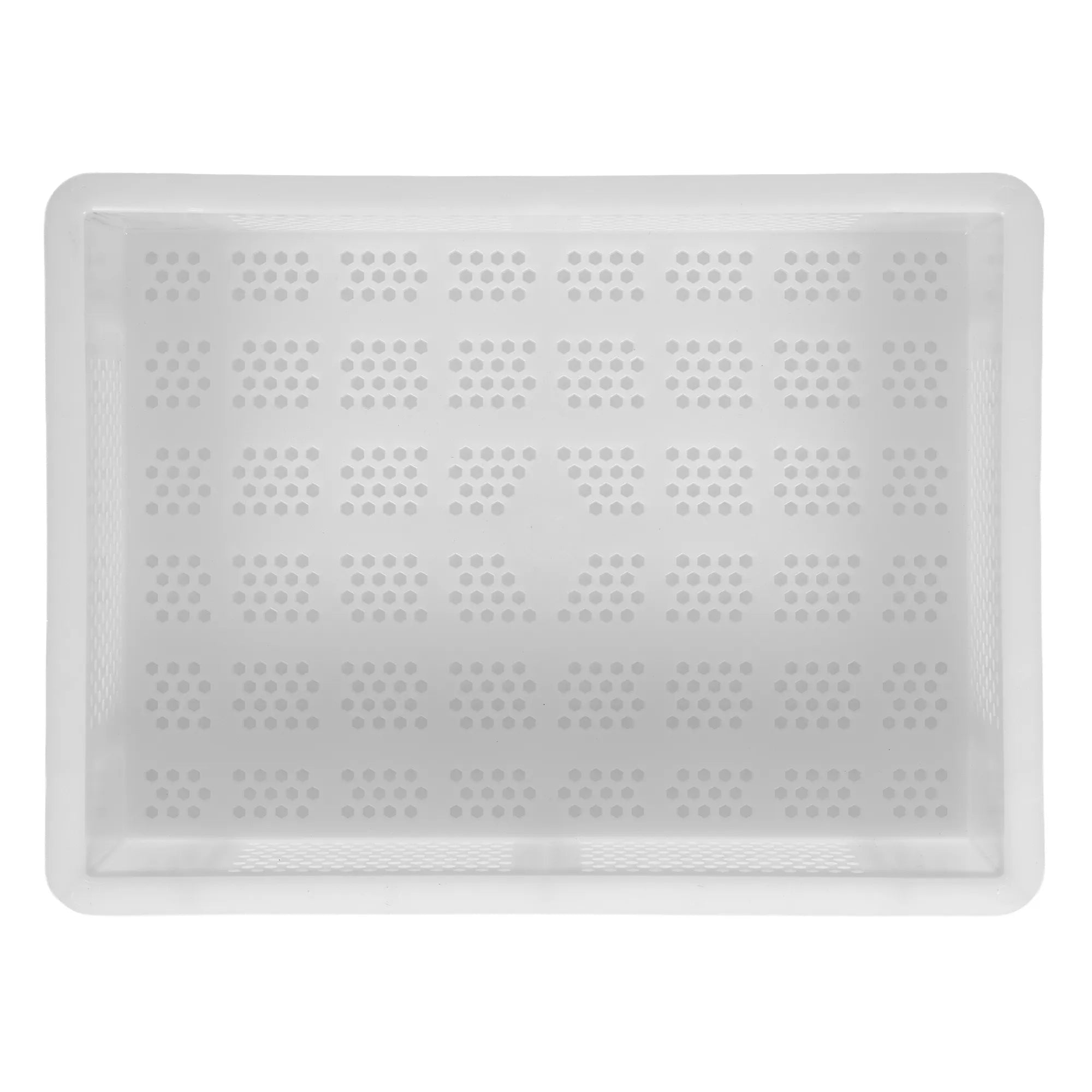 Overhead view of the 30 x 40cm Genus Dei perforated dough tray with round airflow holes