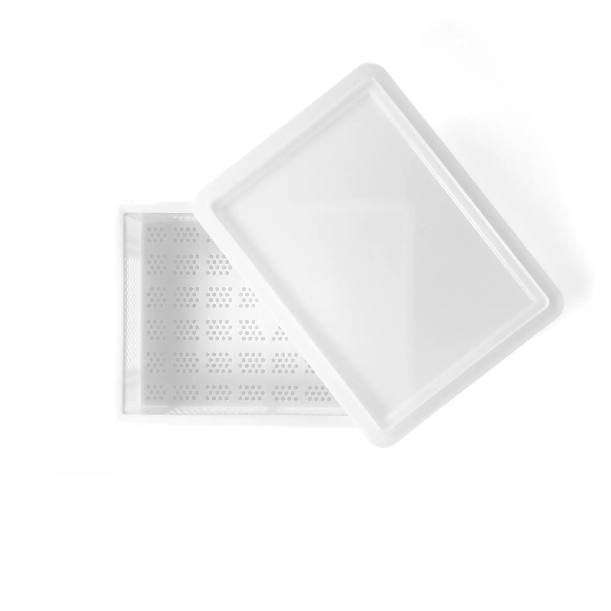 30 x 40cm perforated dough tray shown at an angle with a lid resting on top