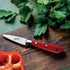 Berkel Classic Line Paring knife on wooden block next to a pepper and herbs.