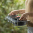Person carrying Tellini topping station with tomatoes inside in an outdoor environment