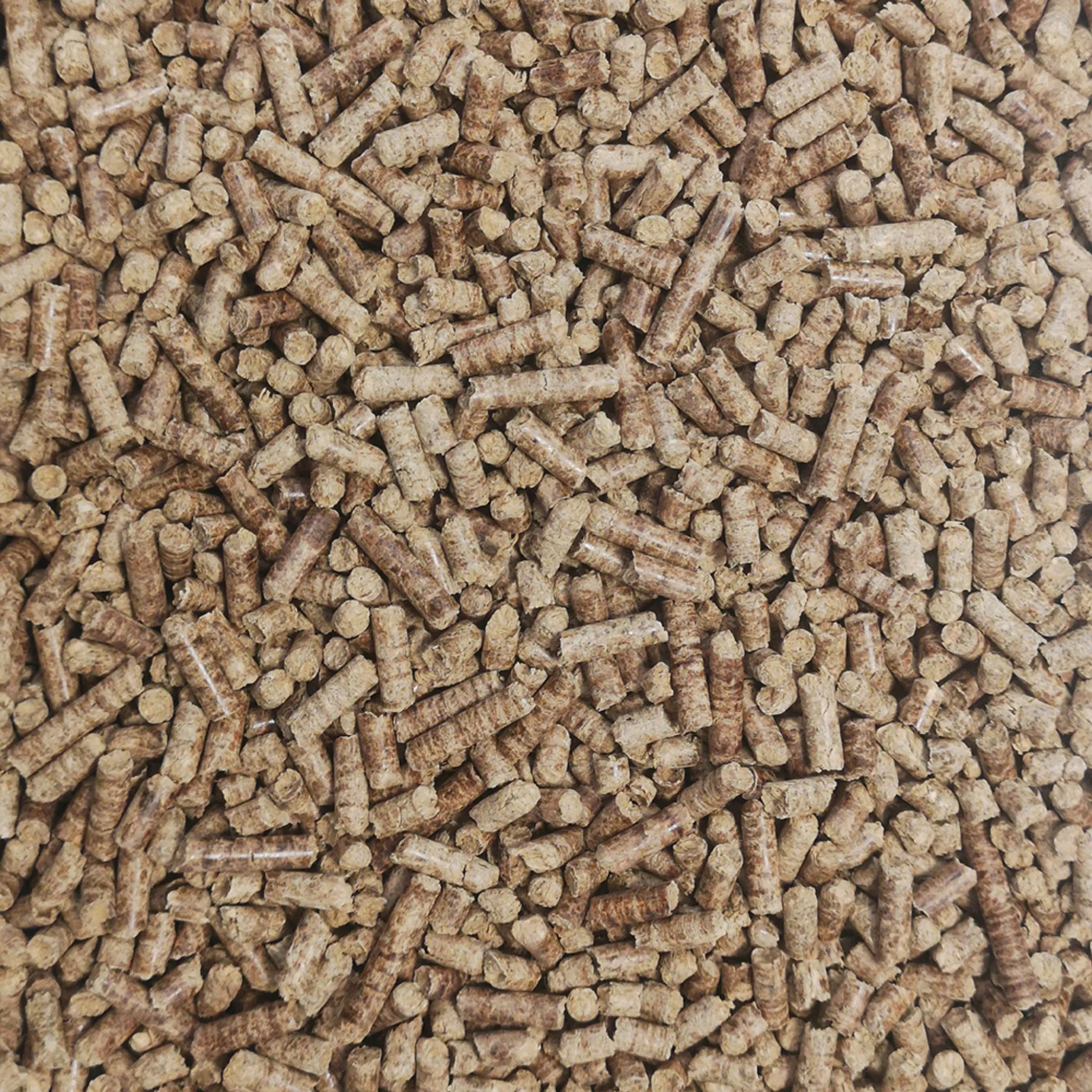 Close-up of ZiiPa beech wood pellets
