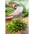 Traditional Italian Mezzaluna Cutter - Double Bladed - Pasta Kitchen (tutto pasta)