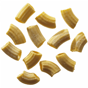 Marcato Regina Pasta Machine for Extruded Pasta Shapes - Pasta Kitchen (tutto pasta)